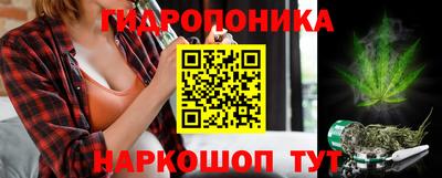 ГАЛЛЮЦИНОГЕННЫЕ ГРИБЫ Берёзовский