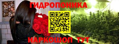 ALPHA-PVP Бийск