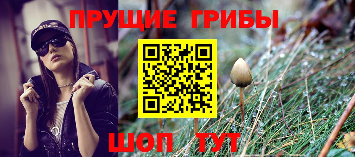 Йошкар-Ола  Галлюциногенные грибы мицелий  Вход с VPN 