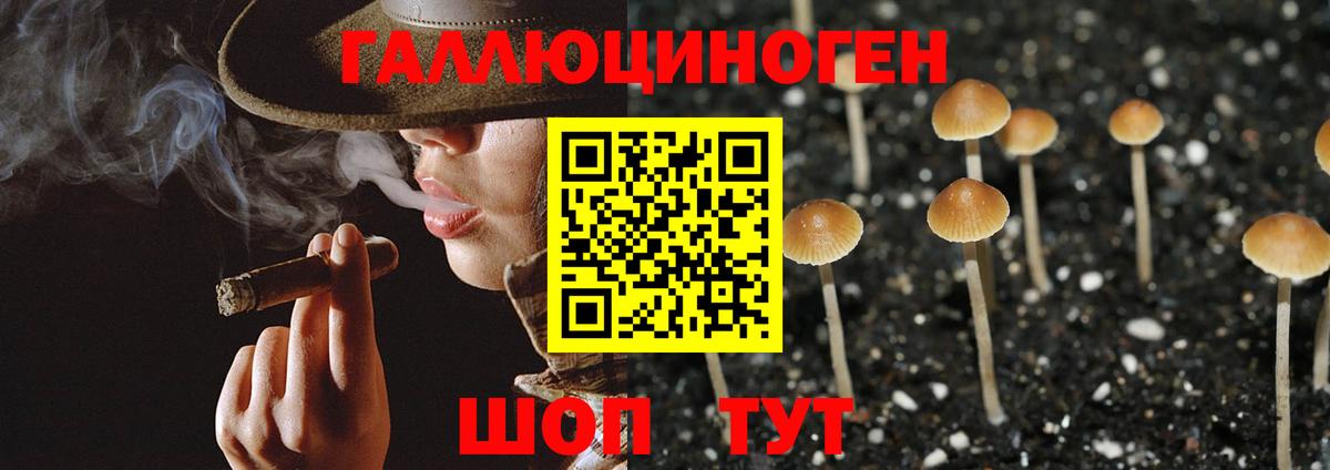 Псилоцибиновые грибы GOLDEN TEACHER Йошкар-Ола